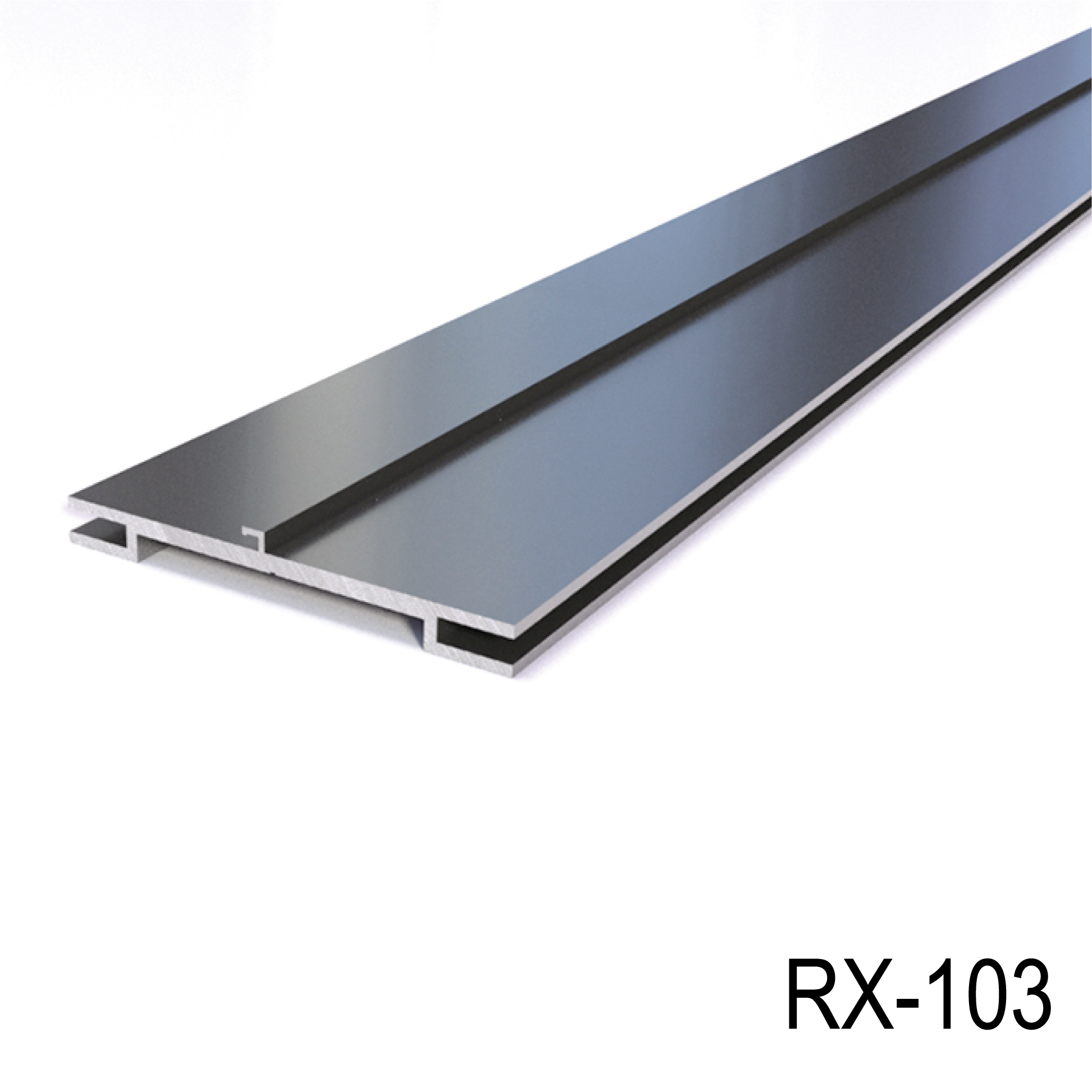 REXframe 103