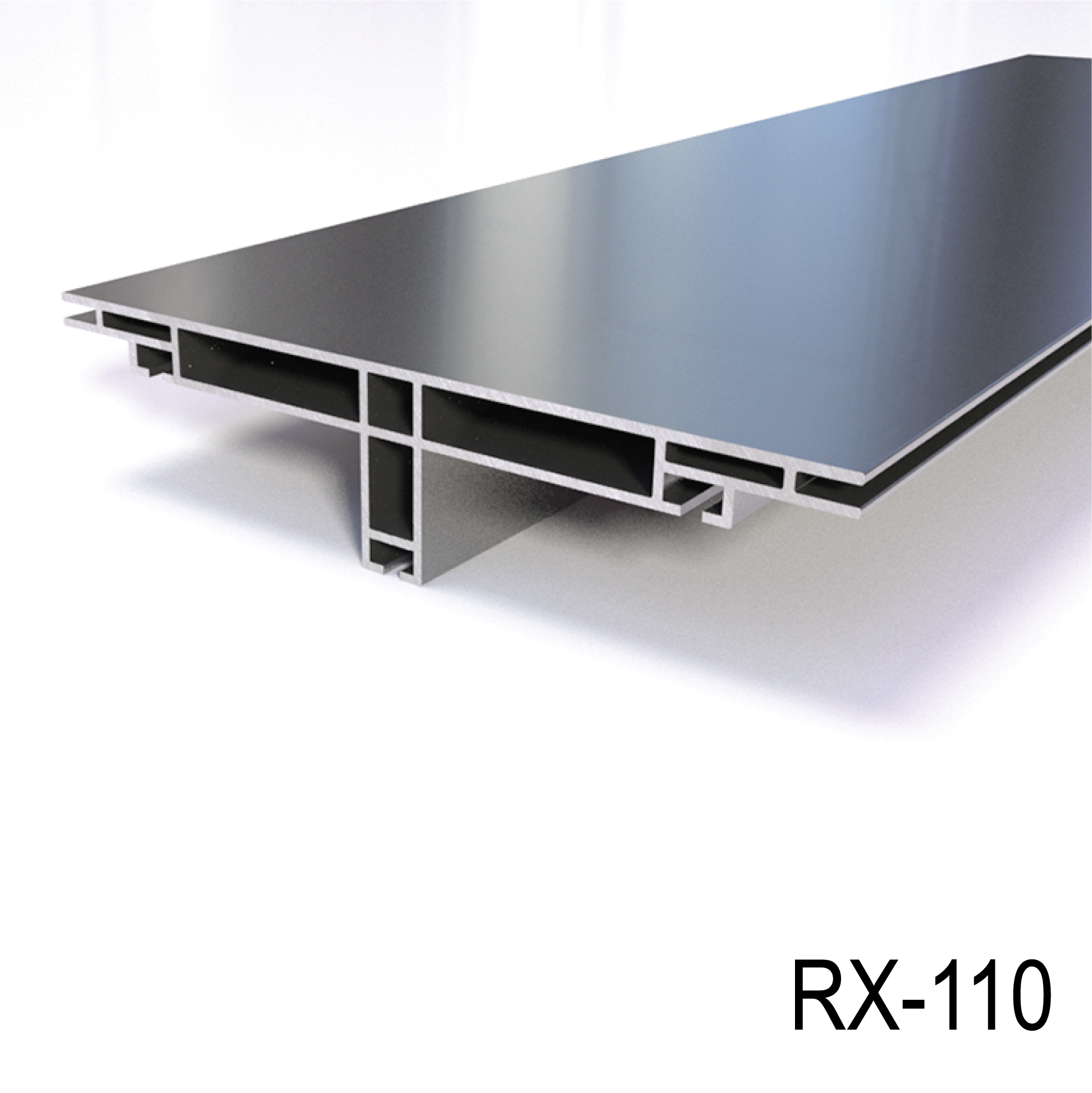 REXframe 110
