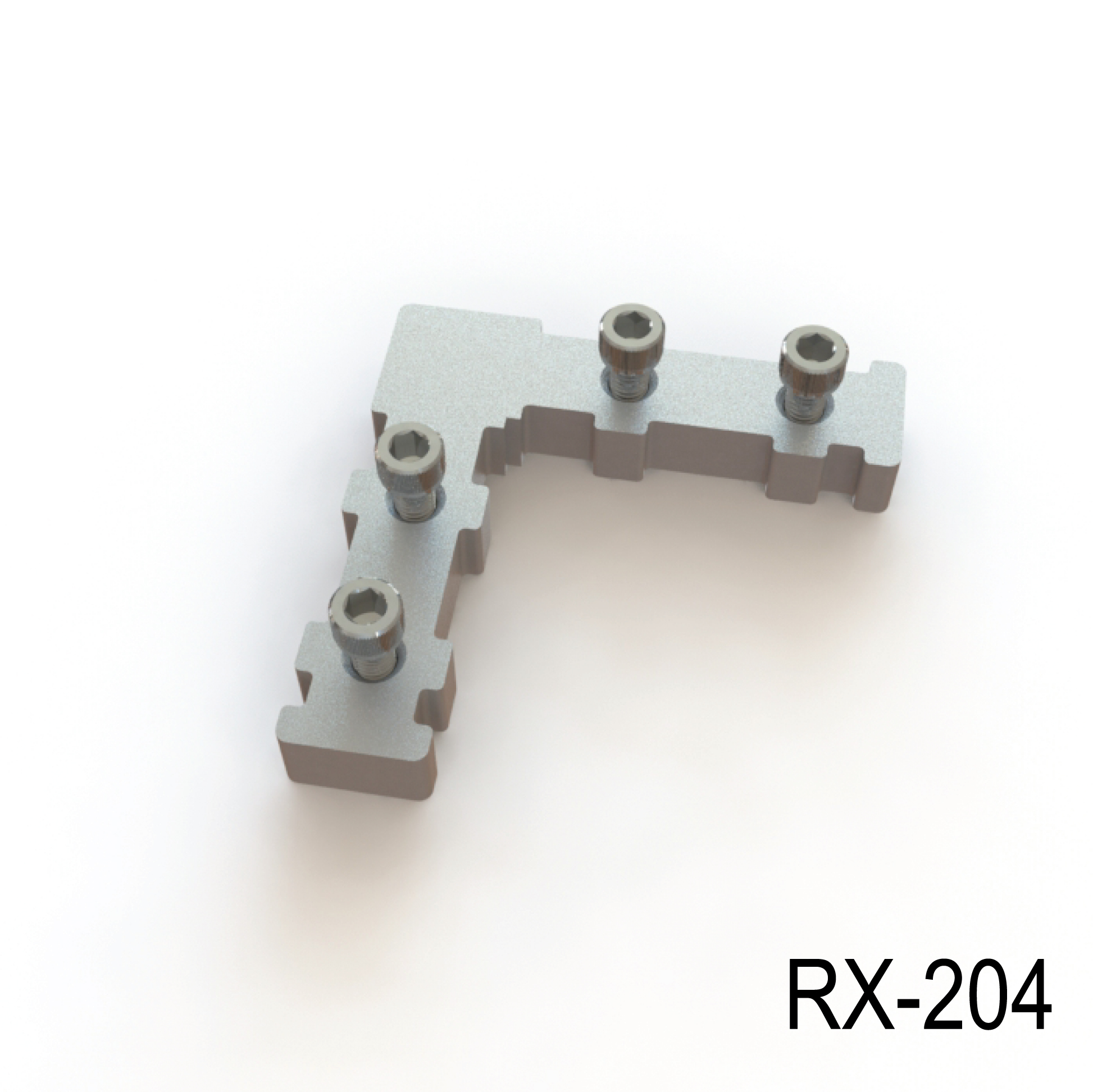REXframe 204
