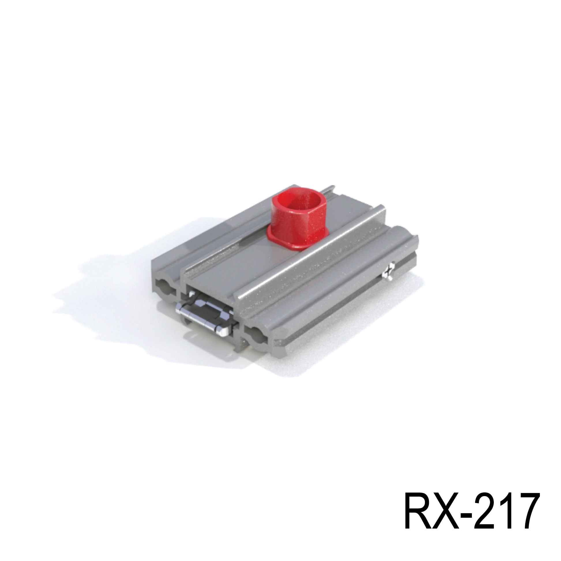 REXframe 217